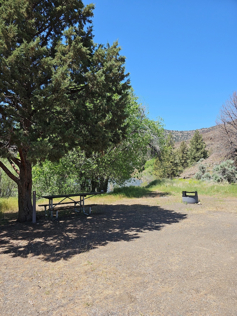 Lone Pine Campground photo 3