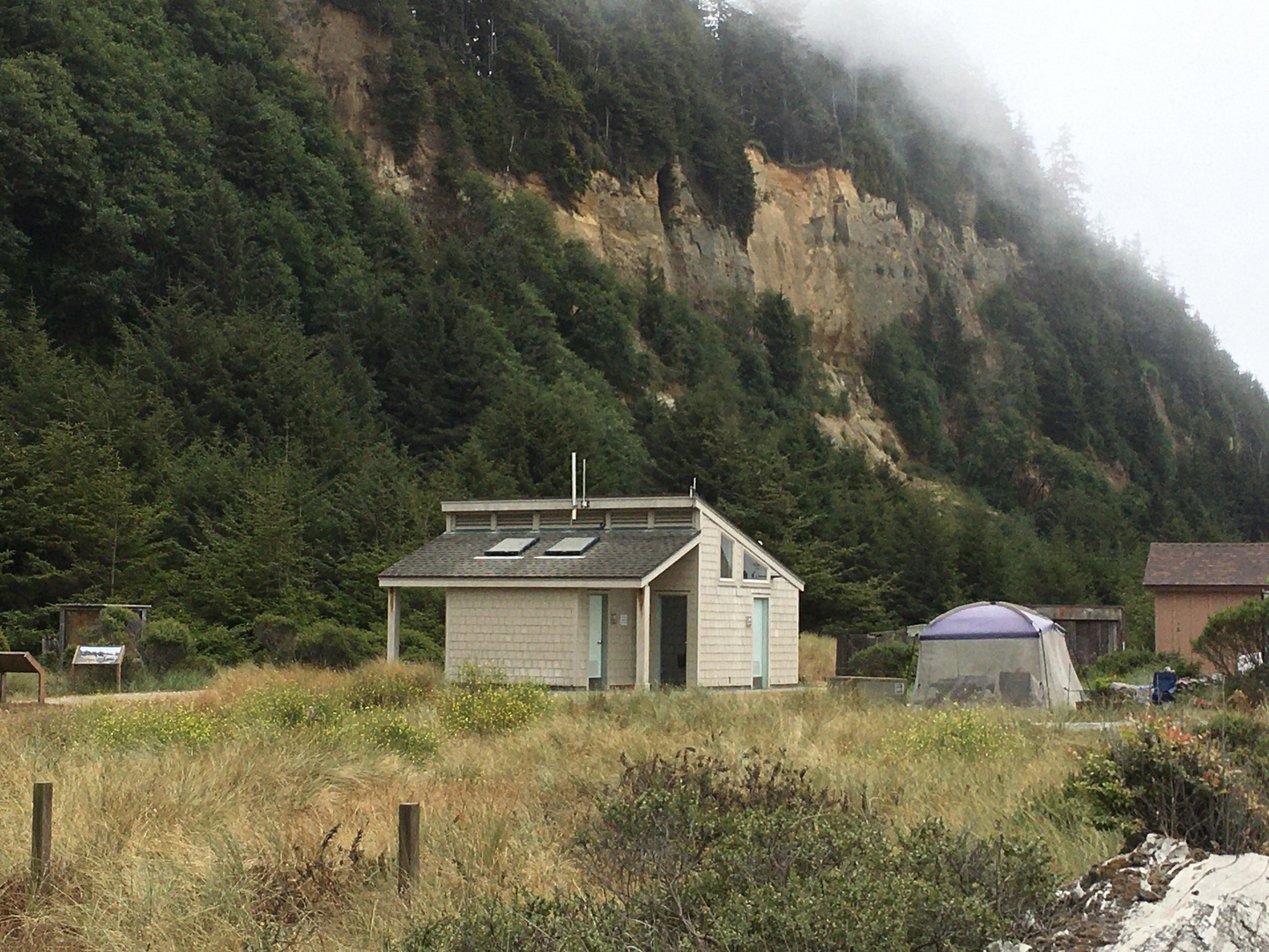 Gold Bluffs Beach Campground photo 2
