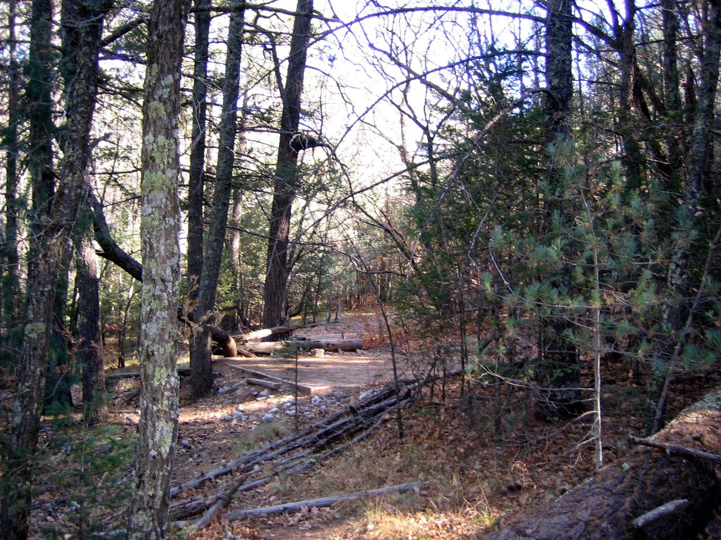 Tejas Wilderness Campground photo 8