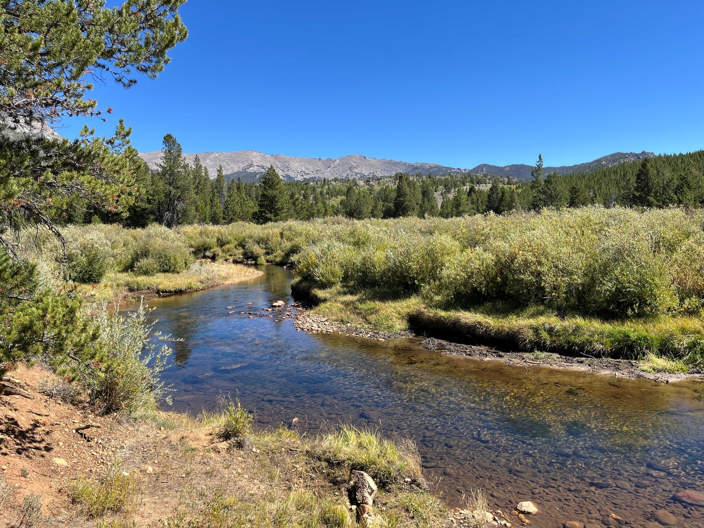 Sweetwater Guard Station Campground photo 3