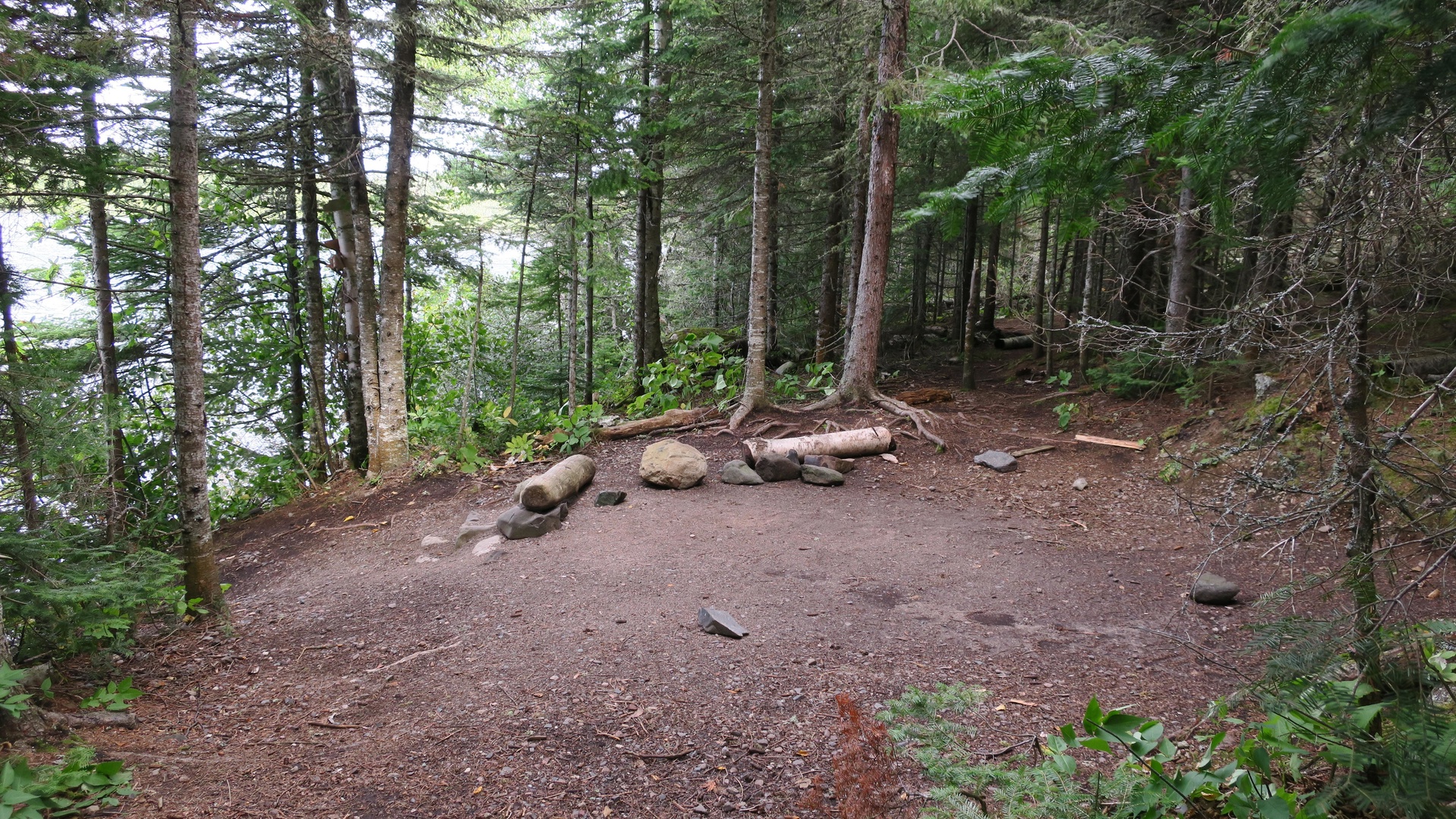 Lane Cove Campground photo 2