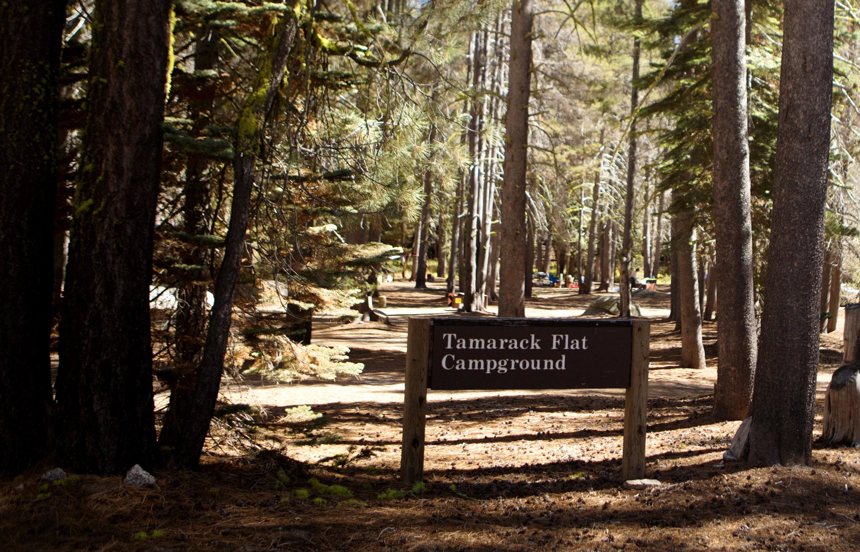 Tamarack Flat Campground photo 7