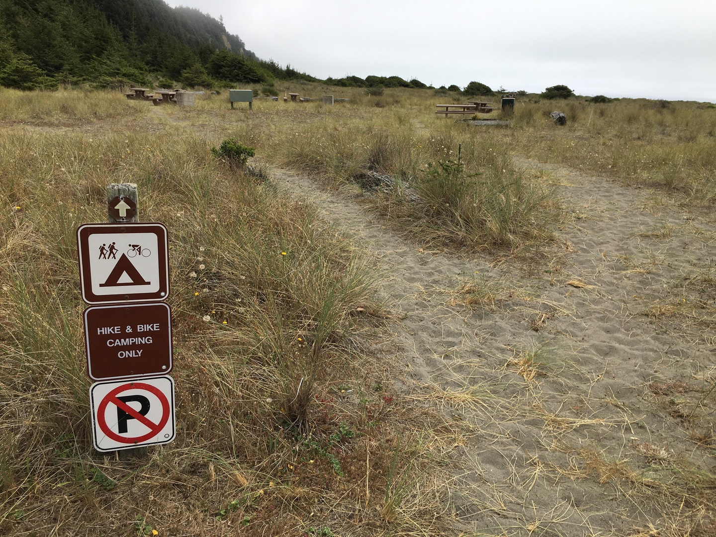 Gold Bluffs Beach Campground photo 5
