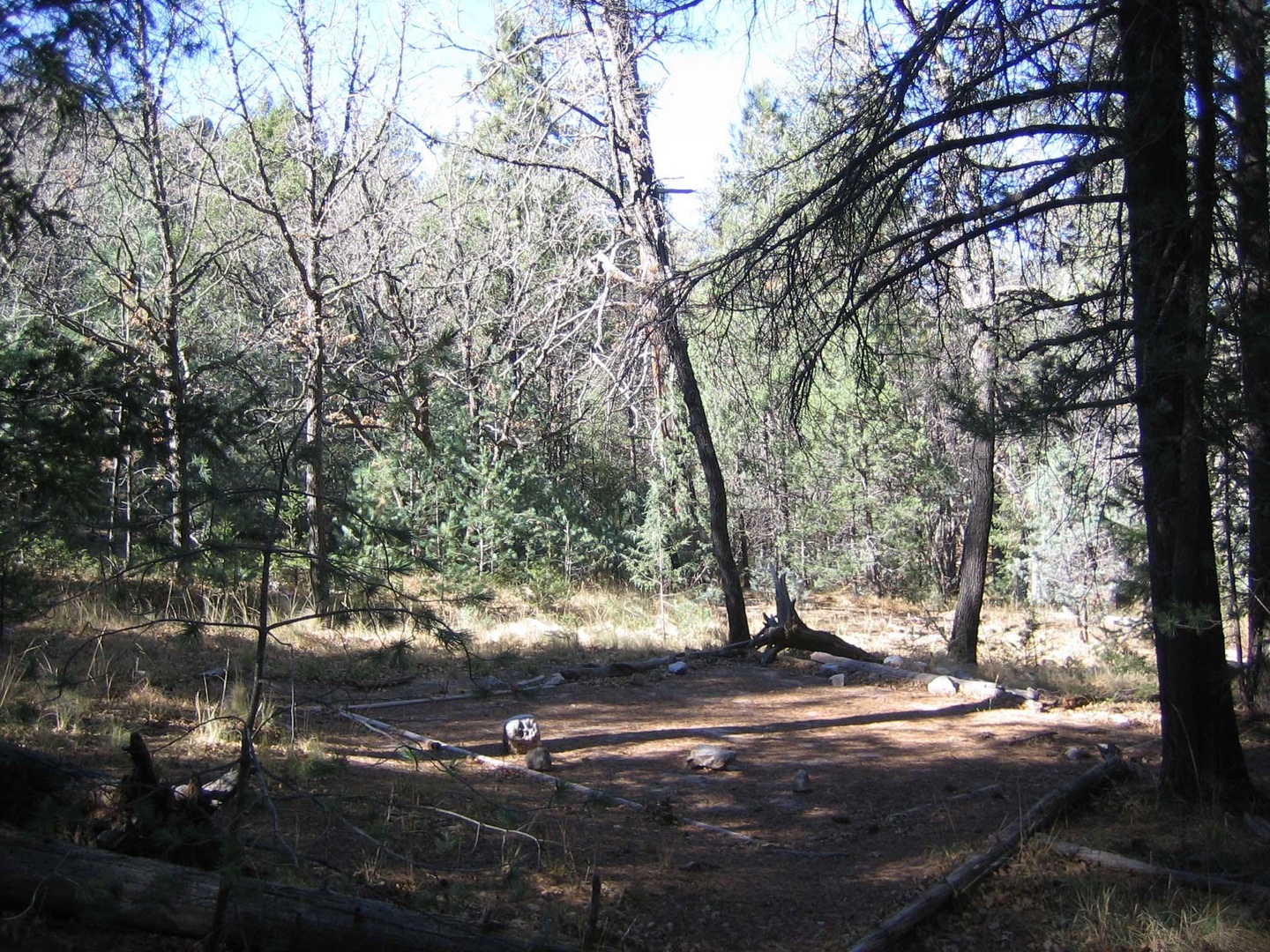 Tejas Wilderness Campground photo 6