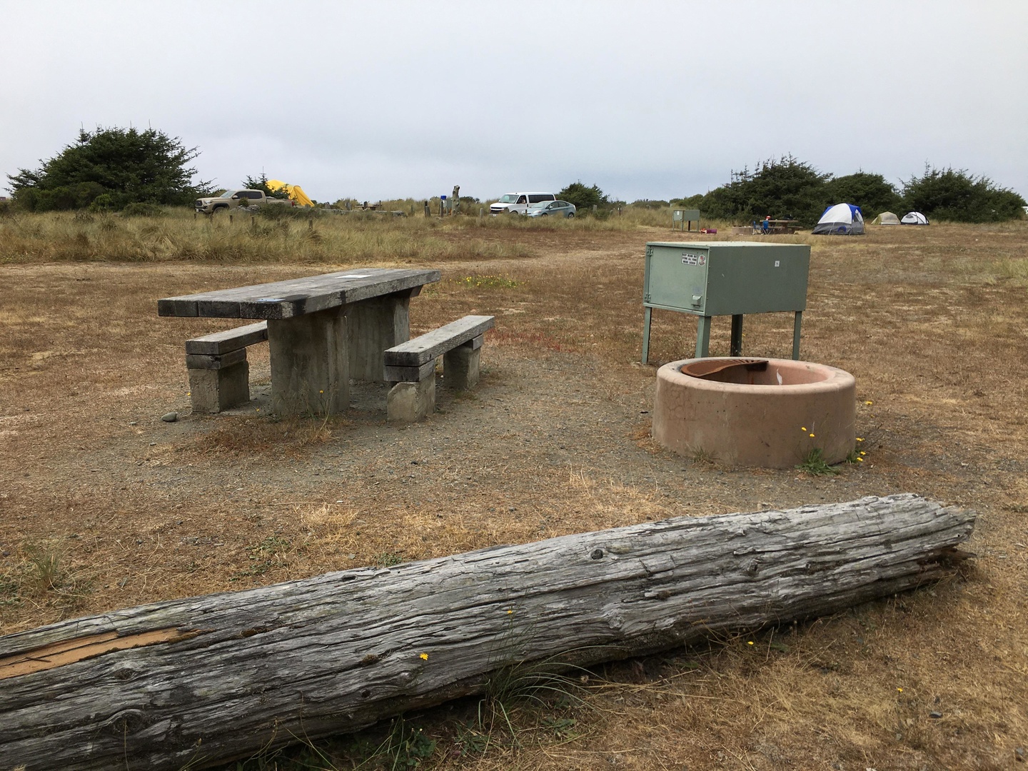 Gold Bluffs Beach Campground photo 4