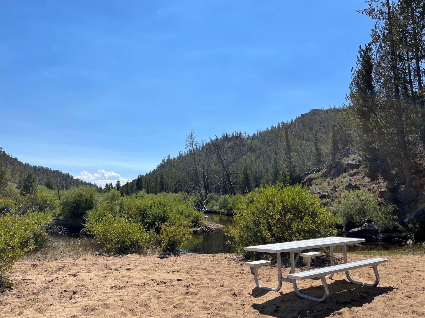 Sweetwater Bridge Campground photo 6