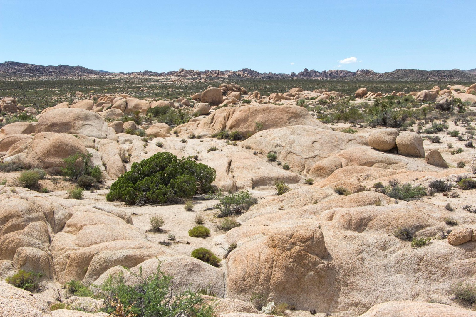 White Tank Campground