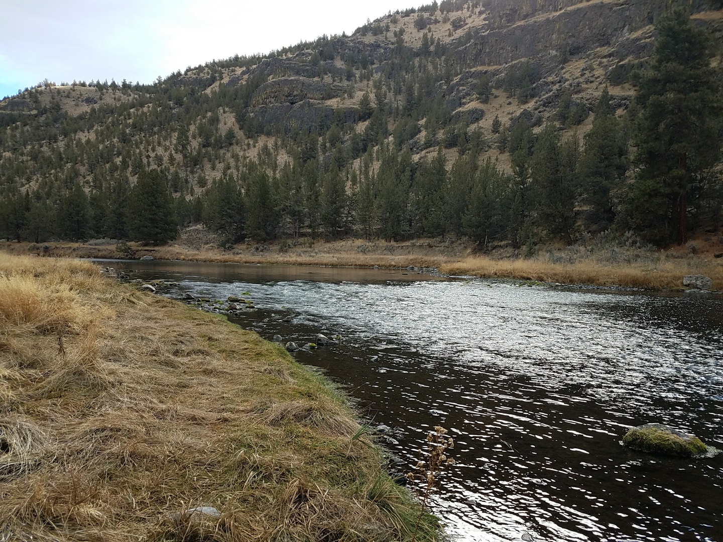 Big Bend Campground (Crooked River) photo 2