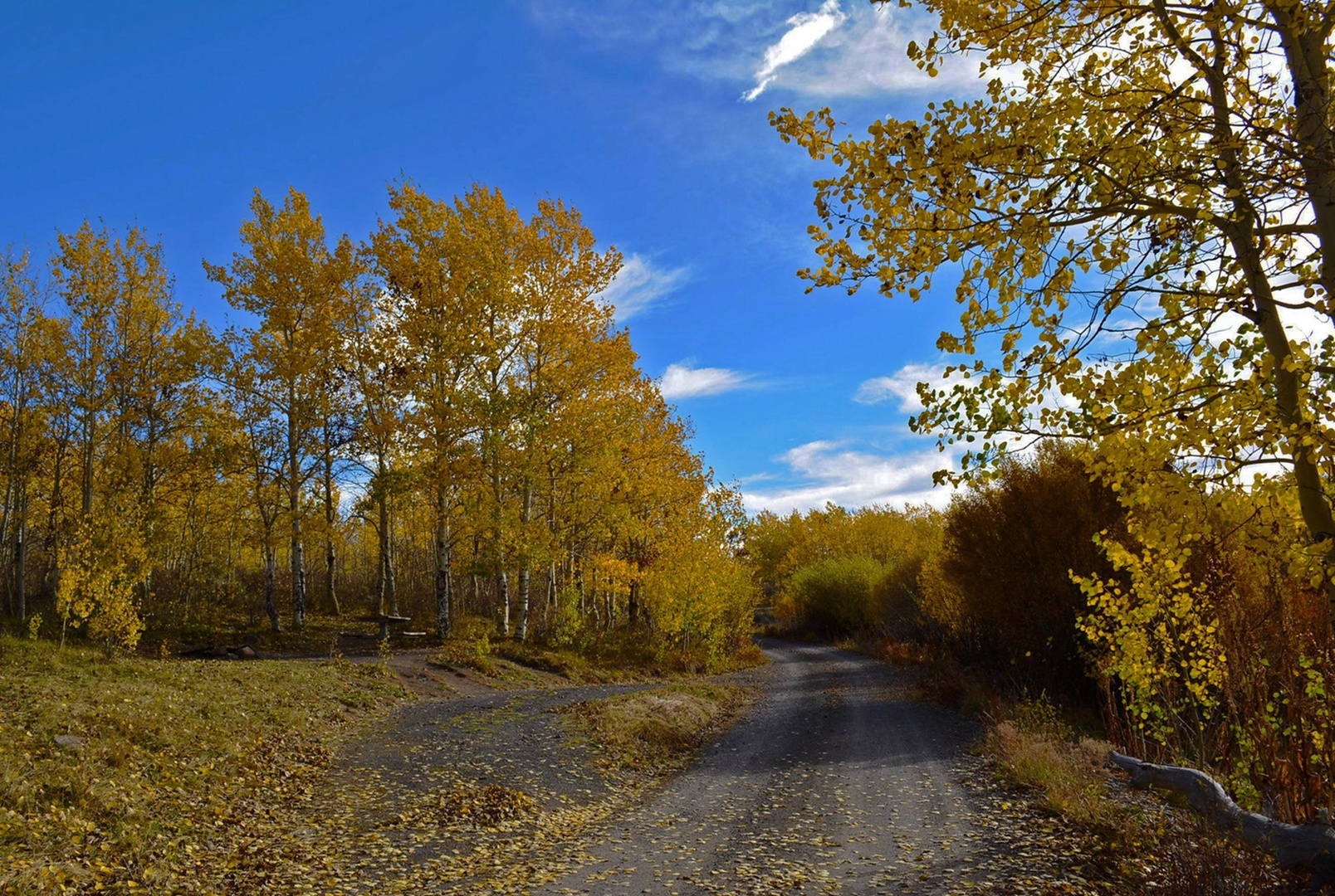Jackman Park Campground photo 3