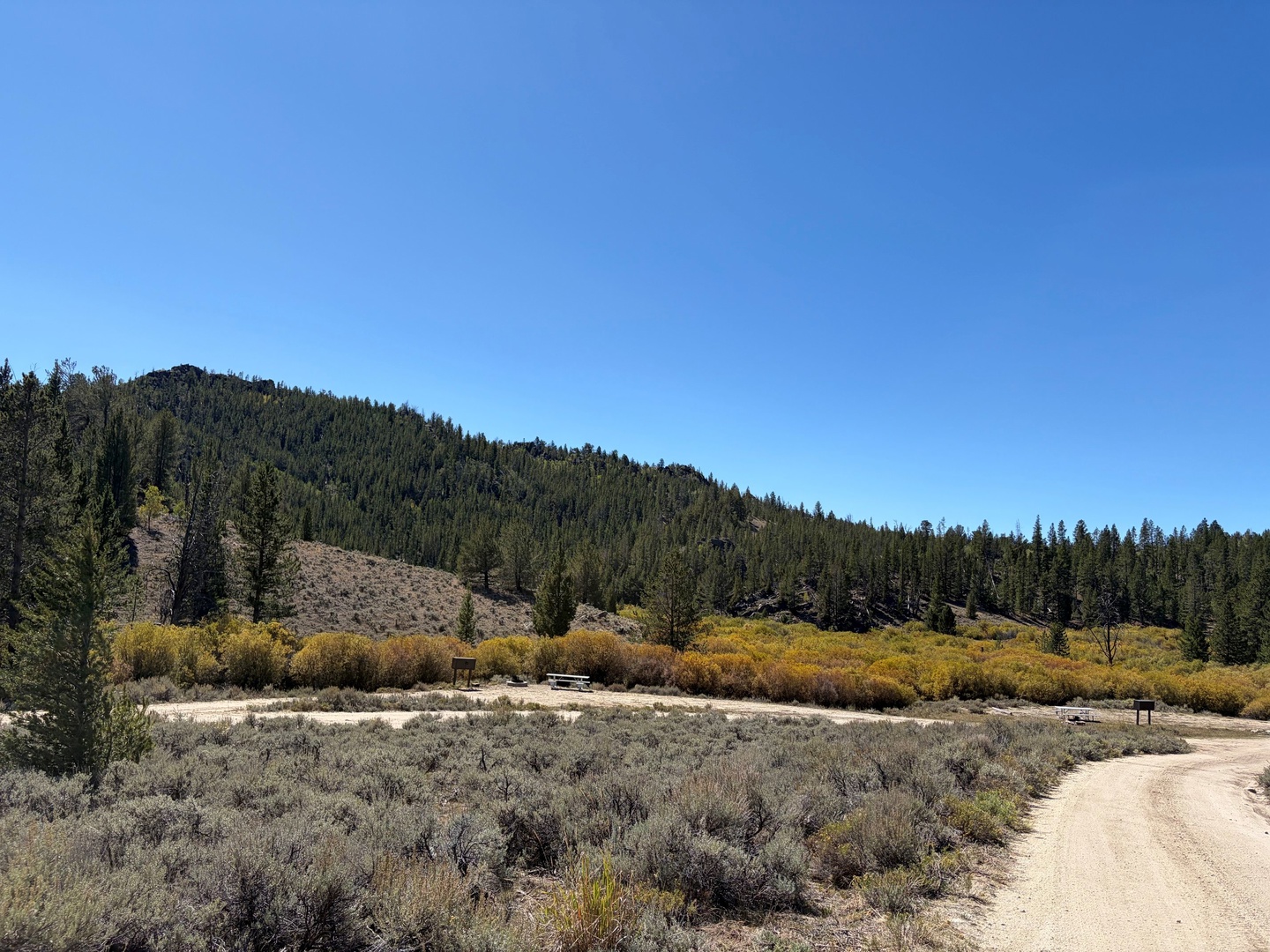 Sweetwater Bridge Campground photo 2