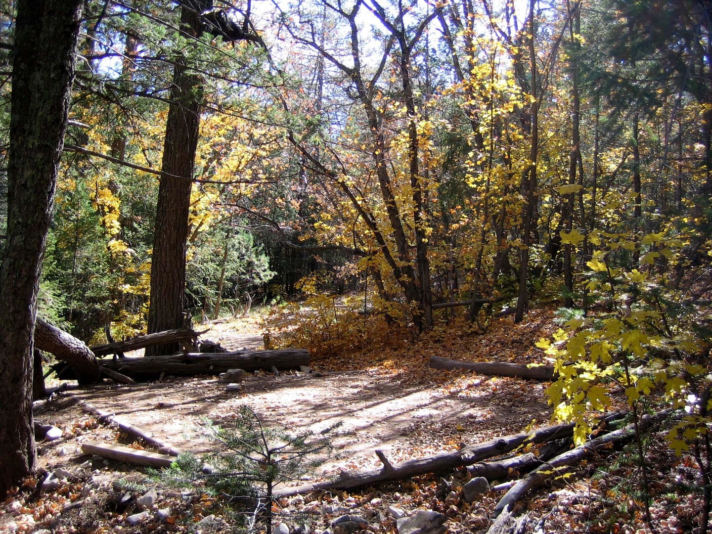 Tejas Wilderness Campground photo 3