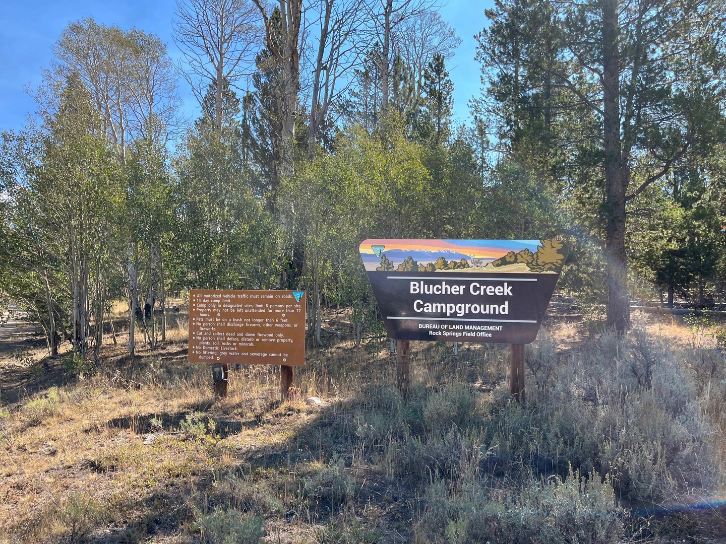 Blucher Creek Campground photo 3