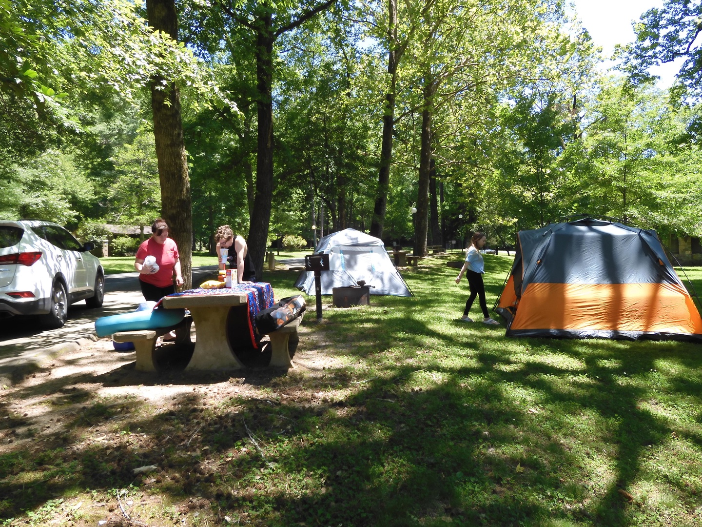 Gulpha Gorge Campground photo 11