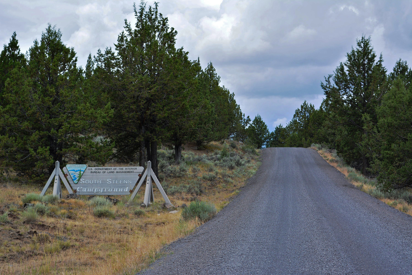 South Steens Campground photo 12