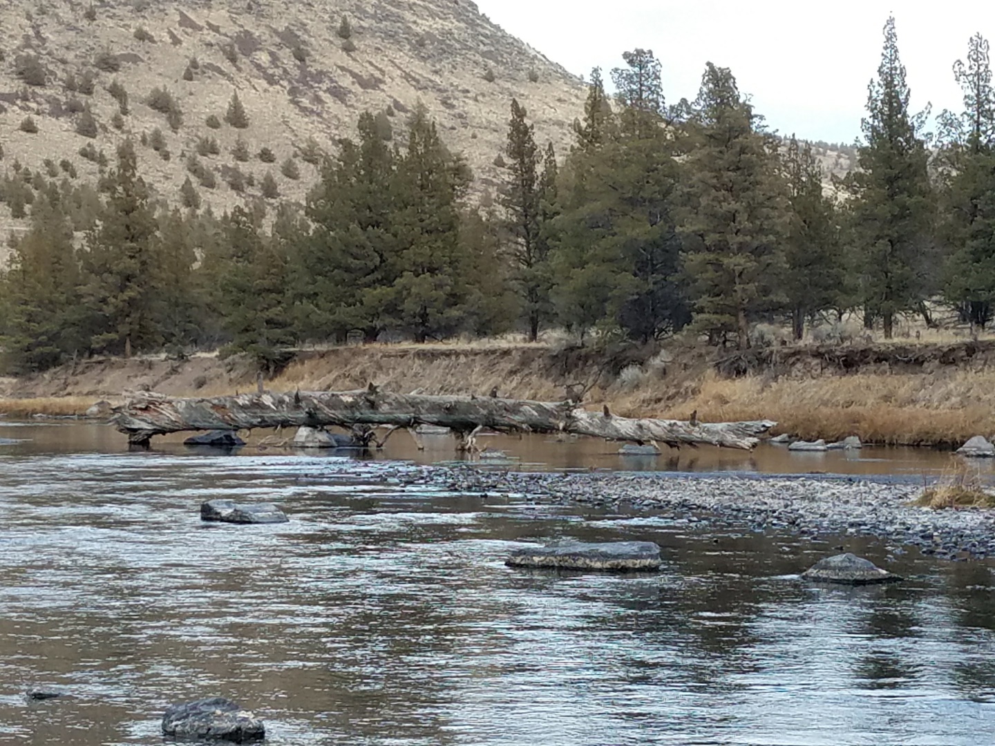 Palisades Campground photo 7
