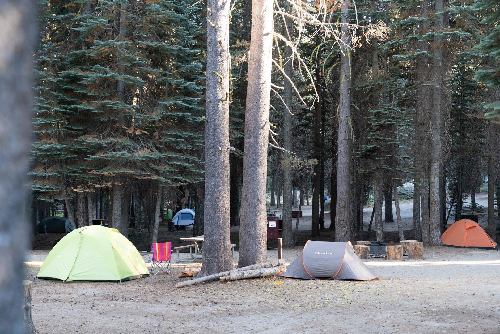 Tamarack Flat Campground photo 5