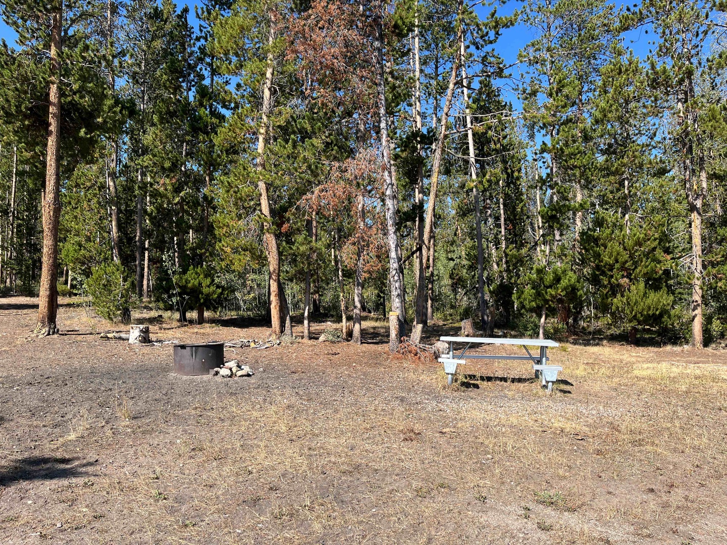 Blucher Creek Campground photo 5