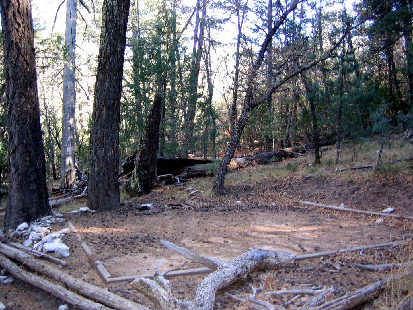 Tejas Wilderness Campground photo 7