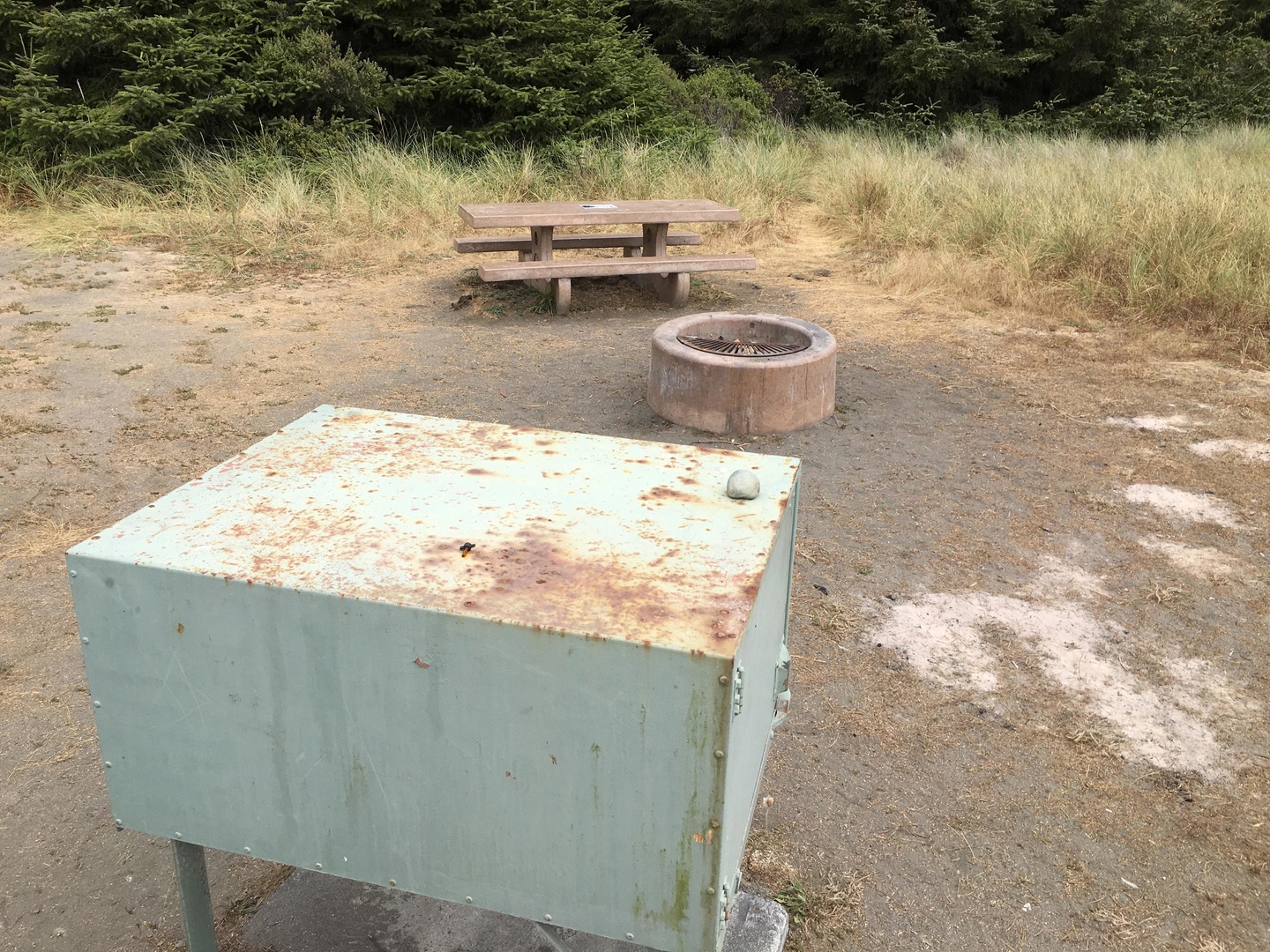 Gold Bluffs Beach Campground photo 3