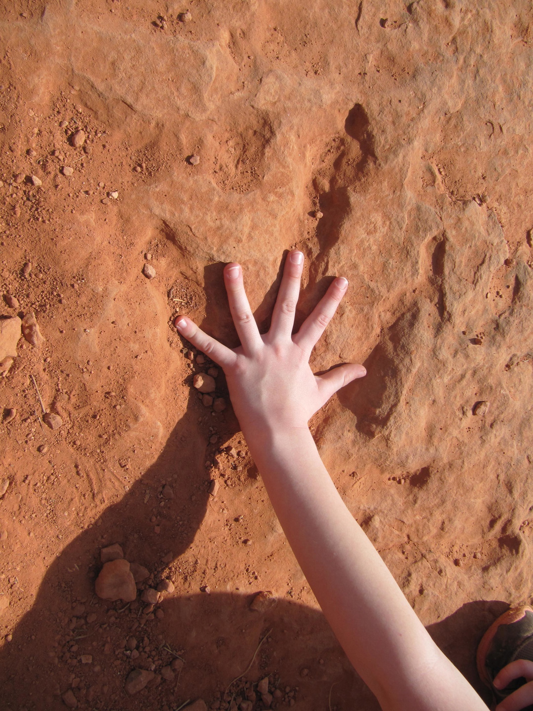 Silver Reef Trail and Red Cliffs Dinosaur Tracksite